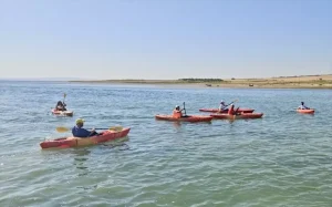 kirsehirde-optimist-yarislari-tamamlandi-9PpPKQVZ.jpg