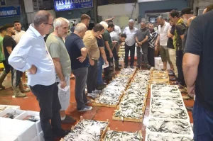 balik-sezonu-karamurselde-basladi-WFm3Xvrv.jpg