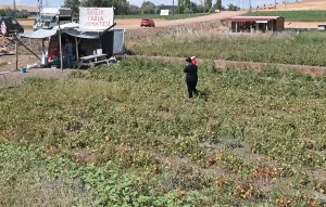tarlasini-vatandasa-acti-paraya-para-demedi-Qgq8sq6O.jpg